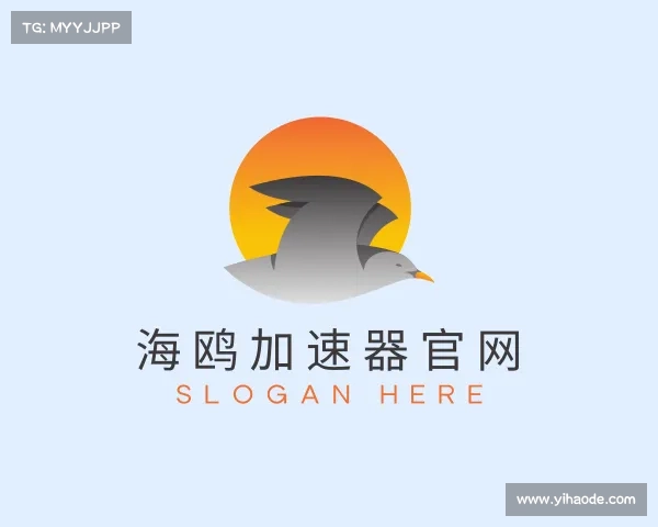 介绍海鸥加速器官网